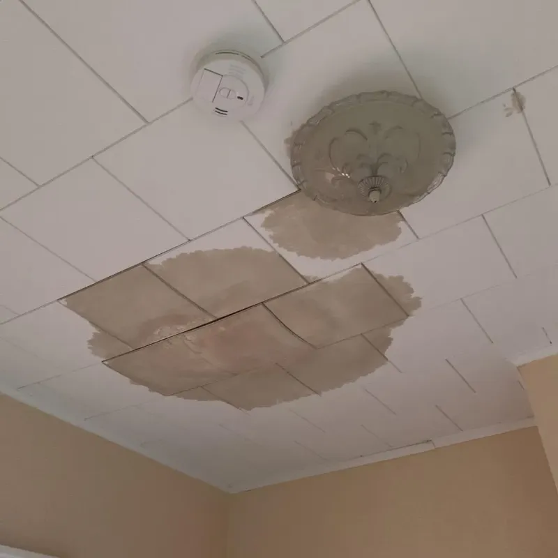 Ceiling Water Damage Repair in Eupora, MS
