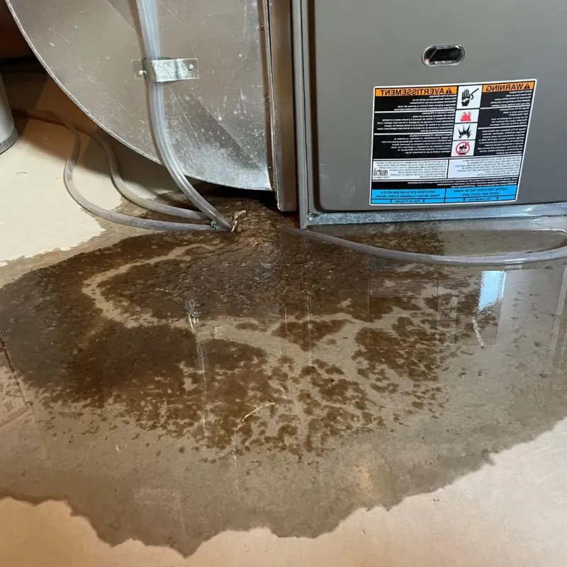 Pipe Burst and Leak Restoration in Eupora, MS