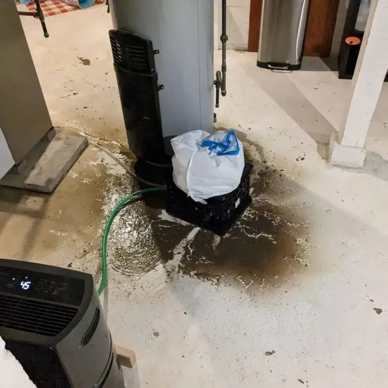 Sewage Backup Cleanup Service in Eupora, MS